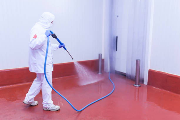 Best Concrete Surface Cleaning in Granger, TX